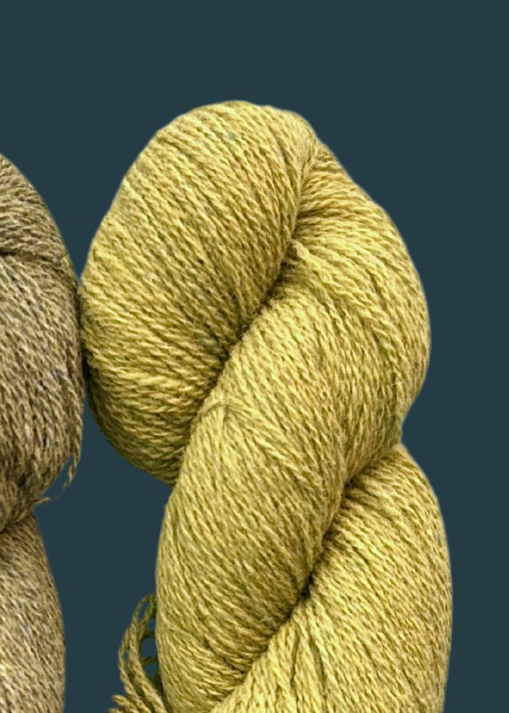 Bio Shetland - Green #1 (lightest) – Everlea Looms