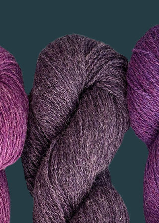 Bio Shetland - Purple #3