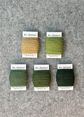 Bio Shetland Yarn Bobbins - Dynamic Gradient, Group of 5; Greens and Yellow