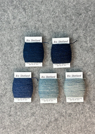 Bio Shetland Yarn Bobbins - Gradient Group of 5 Blues