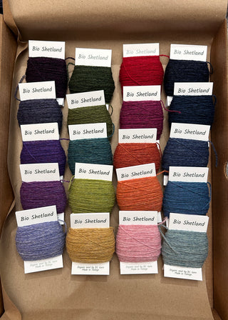 Everlea Beginner Learning Bundle: Weaving Courses and Supplies