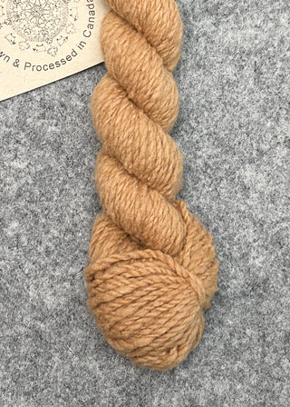 Field & Forage - 2ply (worsted)