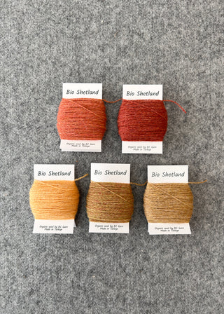 Bio Shetland Yarn Bobbins -  Gradient Group of 5 Terracotta Oranges and Yellows