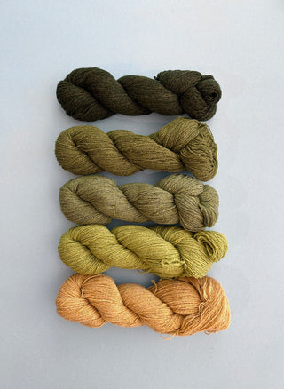 Bio Shetland Dynamic Gradient (greens to yellow)