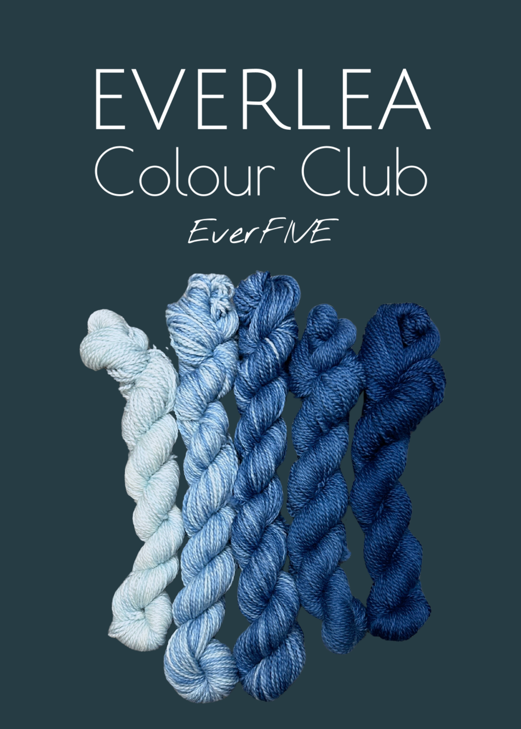 EverFIVE ~ Everlea Colour Club Subscription (125g/month) – Everlea Looms